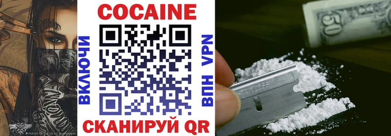 Cocaine Fish Scale  Купить закладки  Дальнегорск 