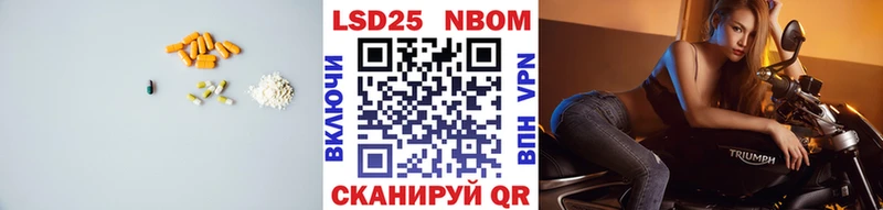 Купить где Дальнегорск ЛСД экстази кислота