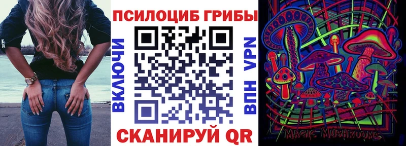 Псилоцибиновые грибы Psilocybe  Купить где  Дальнегорск 